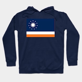 New York State Flag Hoodie